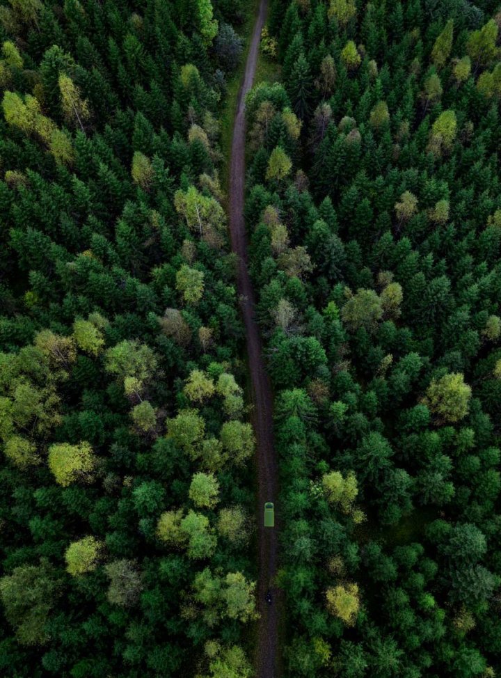 Bring truck on road through the forest